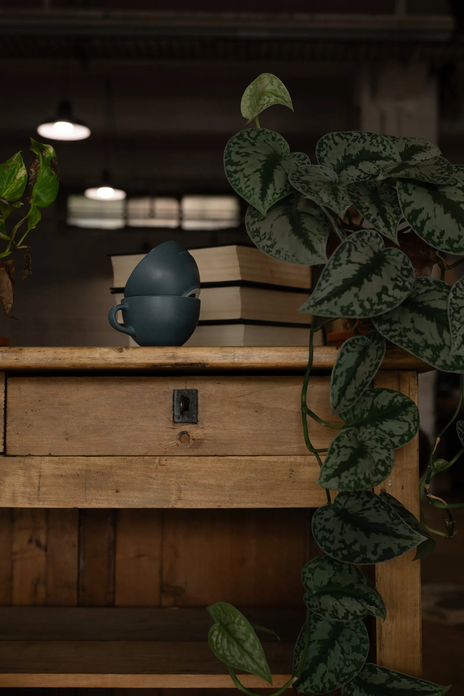 Détail du mobilier vintage et des murs bruts du lieu